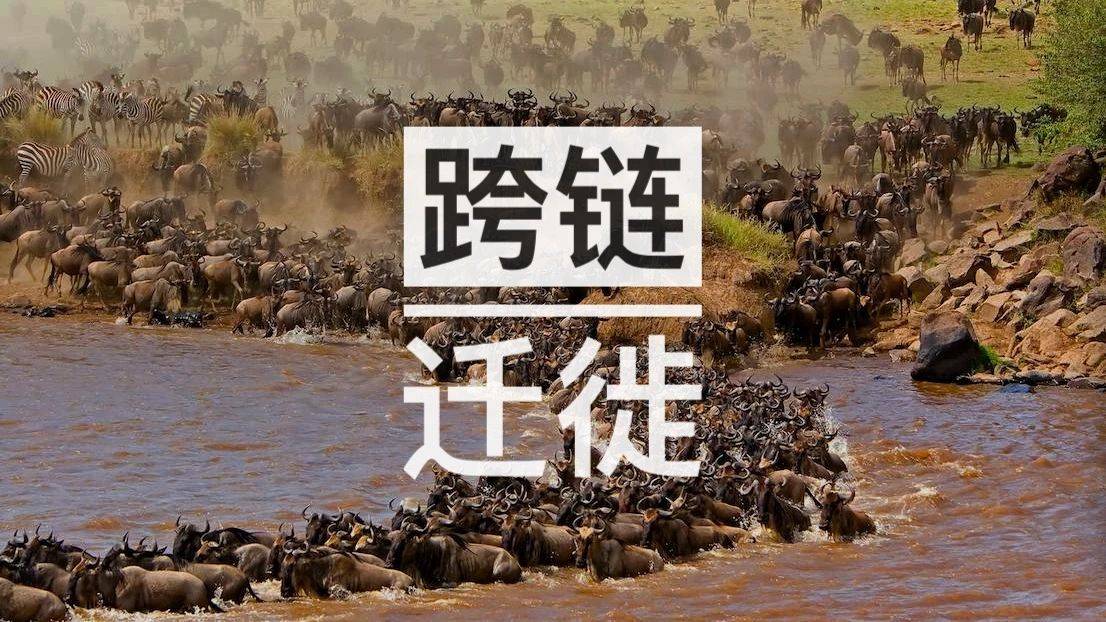 跨链迁徙——DeFi项目们的抄袭对象们