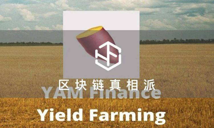 「红薯」复耕， 「农民」未归