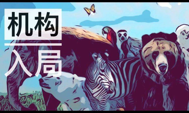 传统机构加速入局加密货币，春天来了？