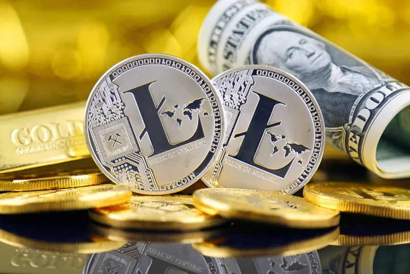 与庄共舞,一文了解“加密巨鲸”灰度基金持有的九大金刚