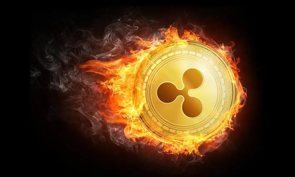 与庄共舞,一文了解“加密巨鲸”灰度基金持有的九大金刚
