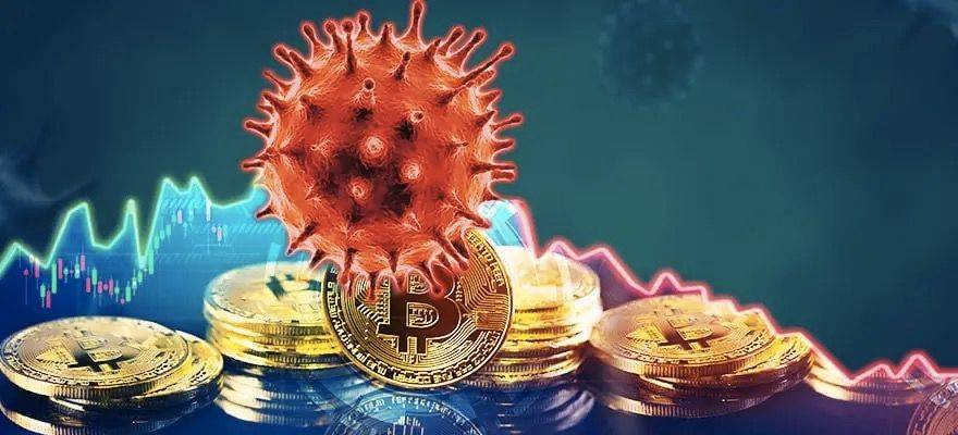 比特币是避险资产还是储备资产?它对金融世界意味着什么?