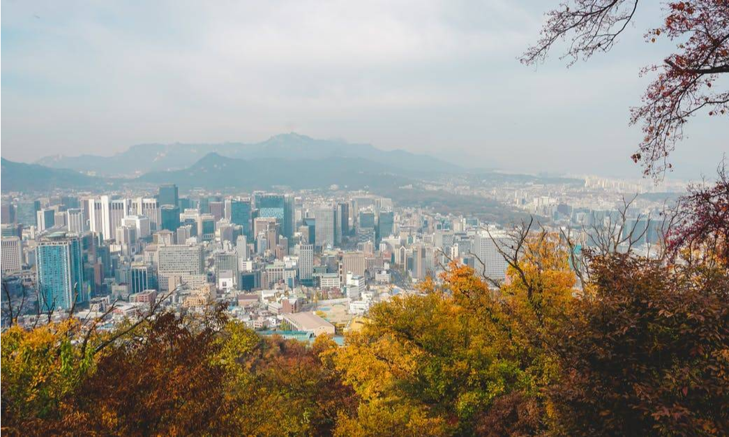 韩国加密图鉴：最爱BTC和XRP，ETH和DeFi不太火