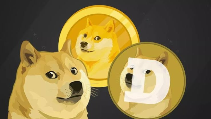 一天最高涨10倍,DOGE币一夜登上微博推特热搜