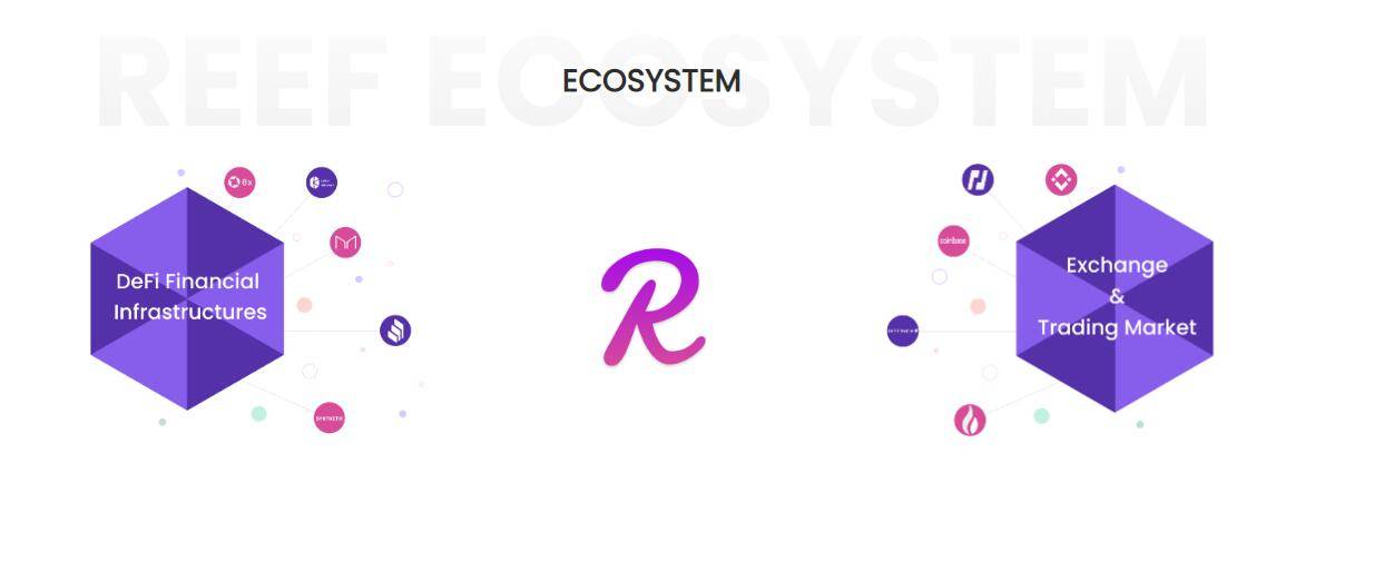 波卡DeFi项目Reef Finance筹集2000万美元 Alameda Research是唯一投资者