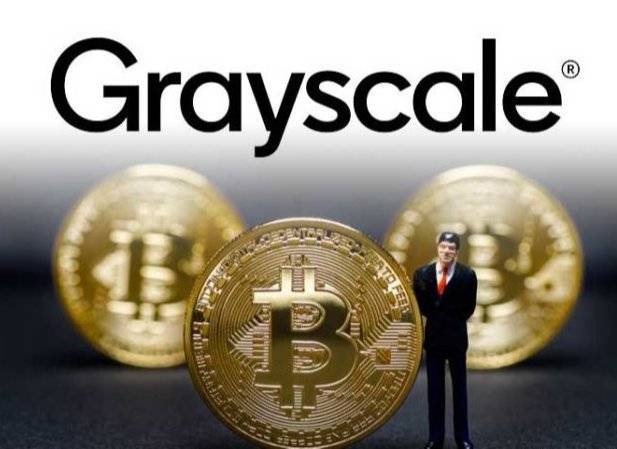 美国银行报告:比特币最大的公共持有者是灰度