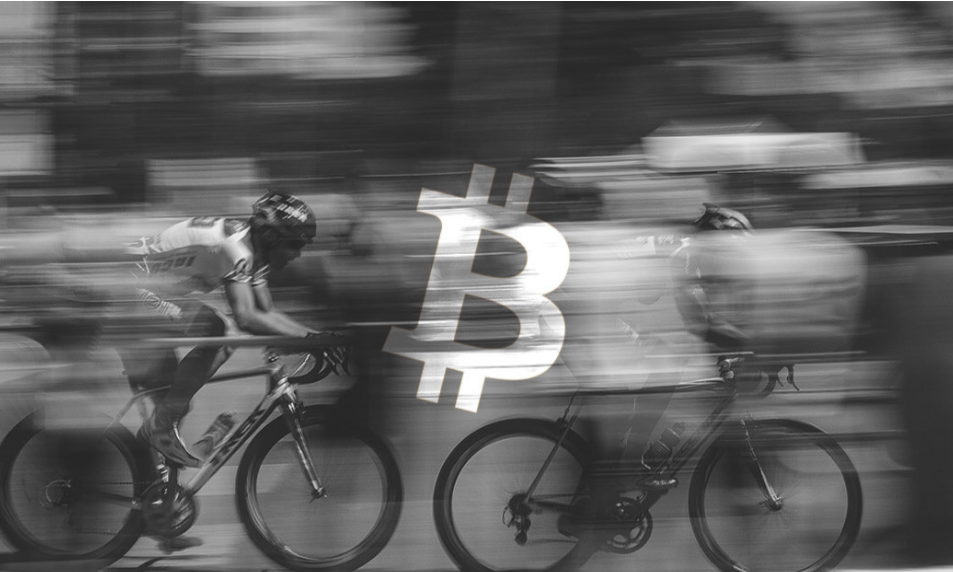 赢家与囚徒：他们想用比特币翻盘