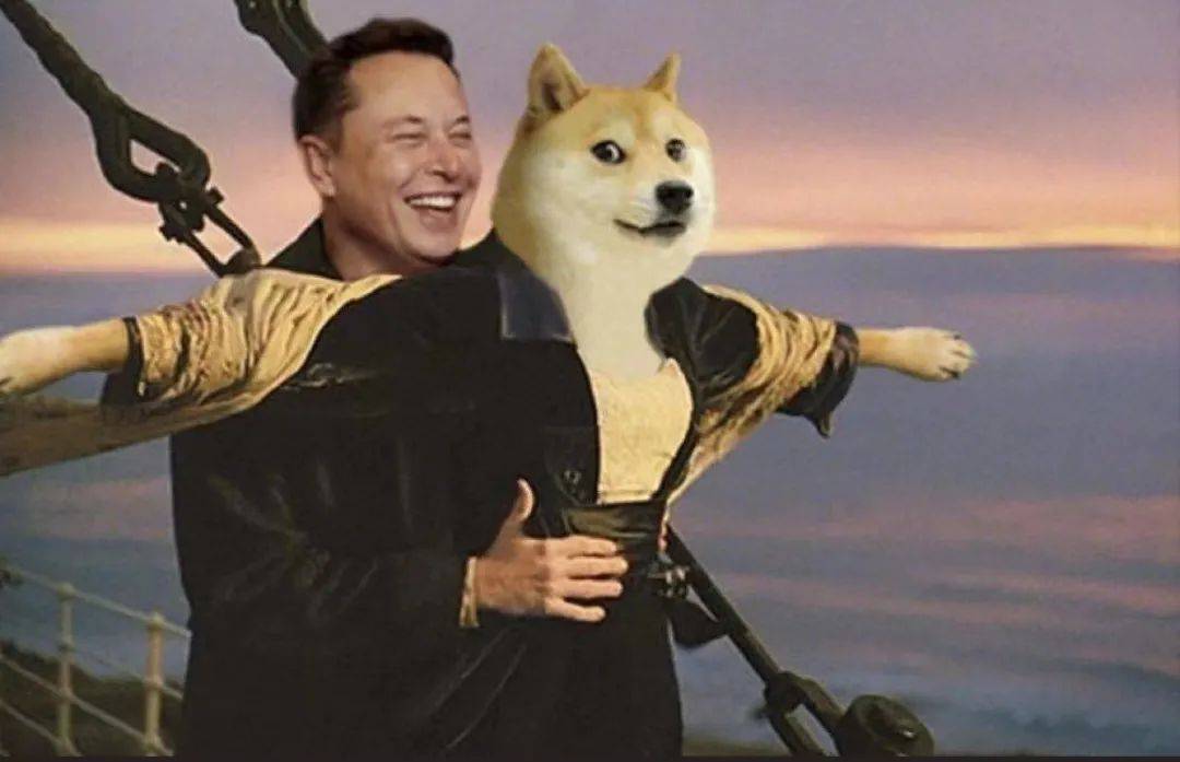 金融圈在被比特币啪啪打脸,而我们在被狗狗币啪啪打脸