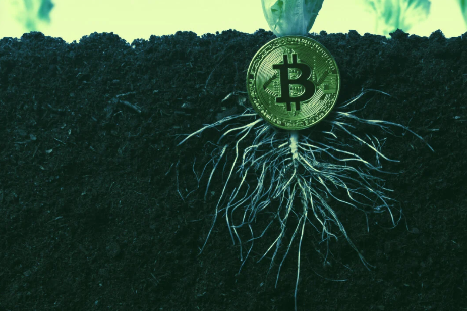 比特币Taproot升级已获53.71%算力支持,激活将如期而至?