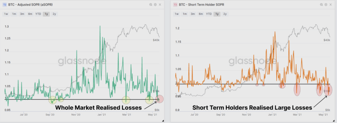 数据:BTC 恐慌下跌中,HODLer 仍在加仓?