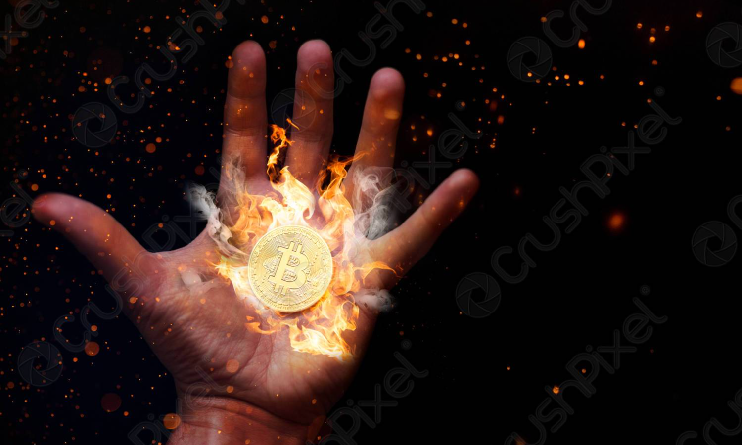 链上数据详解丨一周跌幅近50%，比特币Hodler们在干嘛？