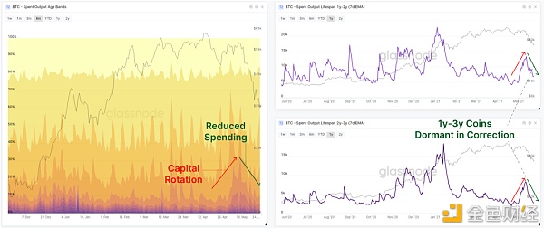 一周跌幅近50% 比特币Hodler们在干嘛？