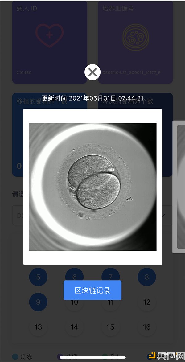 用区块链技术进行胚胎可视化 仁济医院为国内首家