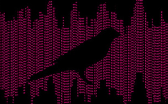 金色观察|Kusama插槽拍卖开始 我们可以期待什么?