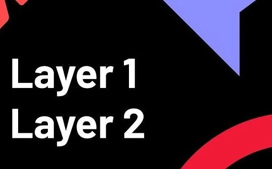 layer2的新晋者们