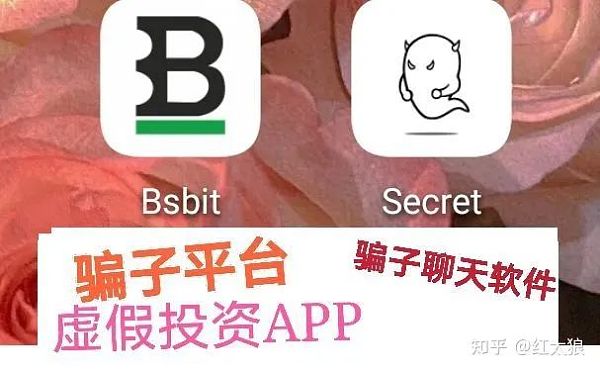 加密货币诈骗：你中招了吗？(下)