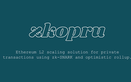 金色观察｜什么是zkopru？