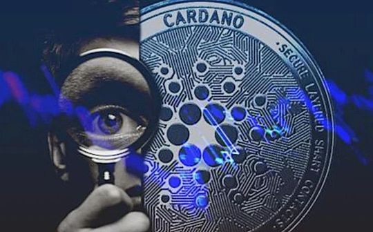 市值飙至全球第三 ADA被高估了吗？