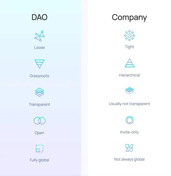 群体思维正在崛起 这里告诉你如何加入DAO