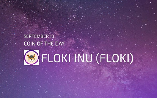 近日被特斯拉老板埃隆马斯克钦点并火爆全球币圈的Floki Inu到底是什么项目?
