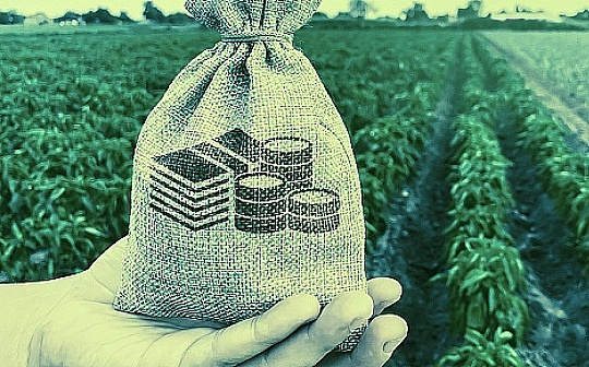 邓建鹏：虚拟货币交易乱象的法律规制研究