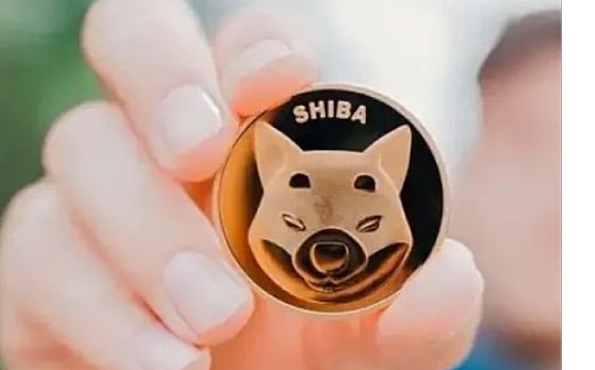 一文了解柴犬币暴涨造就史上最赚钱交易