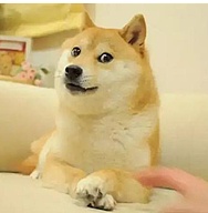 被误解的NFT 一点也不冤