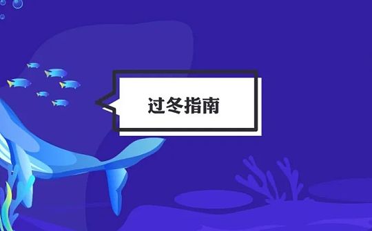 孙正义豪亏1.3亿 巨头“加密命运”由谁掌控？