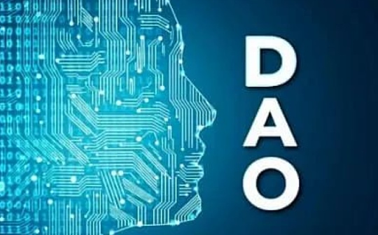 DAO：自组织运动的新兴领导者