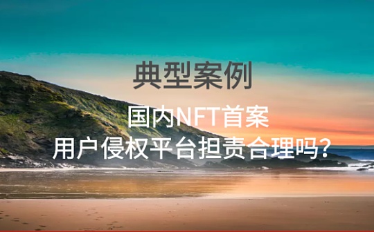典型案例：国内NFT首案 用户侵权平台担责合理吗？