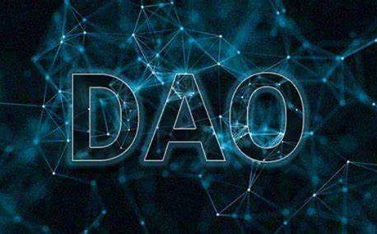 从阿桑奇 DAO 聊起 万字长文分析 DAO 赛道的进化