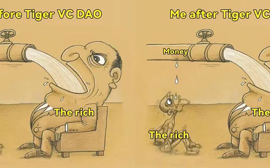Tiger VC DAO：心有猛虎 人人皆可是VC