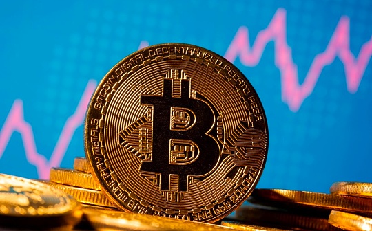 金色观察 | 熊市漫漫  唯有HODLer才能笑到最后