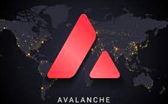 金色观察| messari带你了解Avalanche生态系统的方方面面