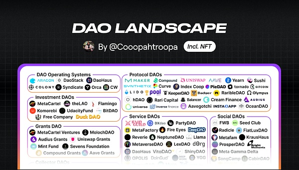 DAO 的全景图：金融和社会资本之间的关系