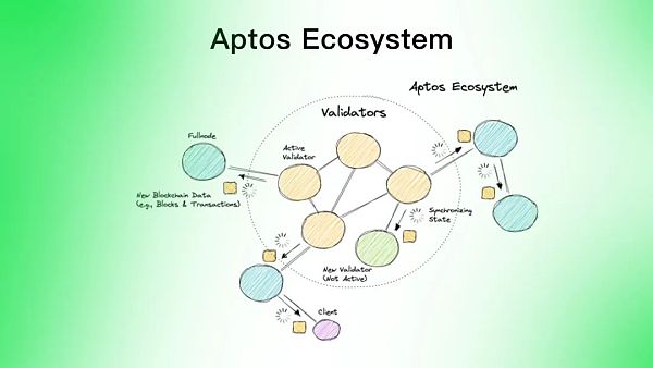 Aptos是资本推动的又一个Solana吗？