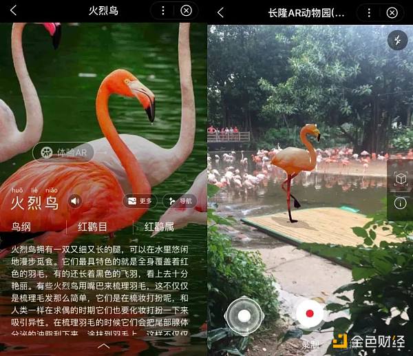 没有动物的元宇宙 和沙漠有什么区别？