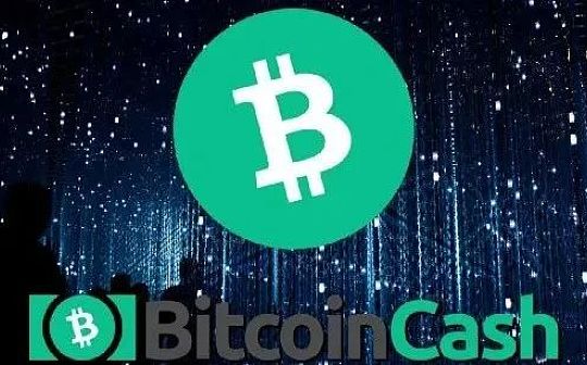 2022 BCH 大会总结：过去一年 BCH 发生了哪些变化？
