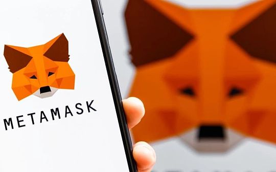 MetaMask 攻略:普通用户如何应对小狐狸记录 IP ?
