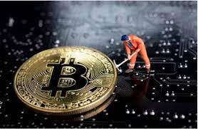 美国司法部:法院下令向加密骗局BitConnect受害者发放赔偿