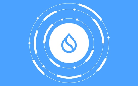 Sui最新漏洞“仓鼠轮” 技术细节与深入分析