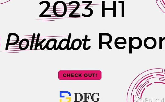 DFG 2023 年上半年 Polkadot 报告