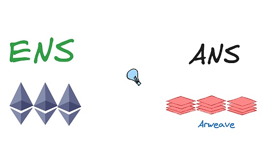 比较研究：ANS 和 ENS 的异同之处