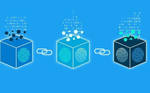 从原生倾向性出发  探讨各大链的“术业专攻”