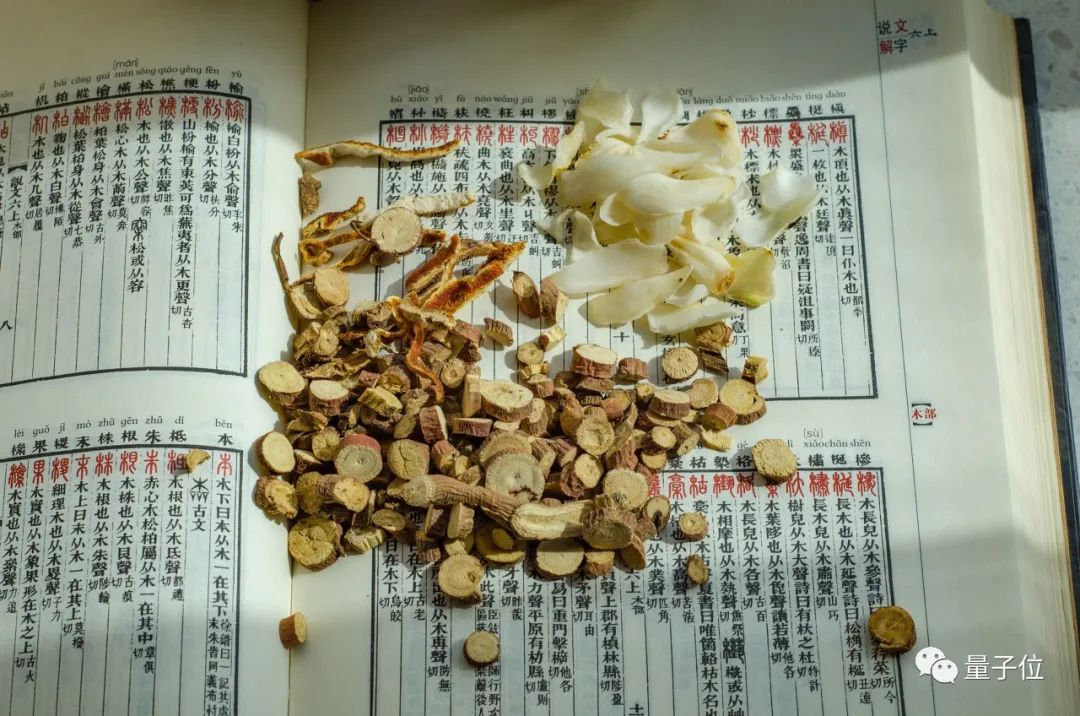 年轻人养生的第一个大模型,来了?!!