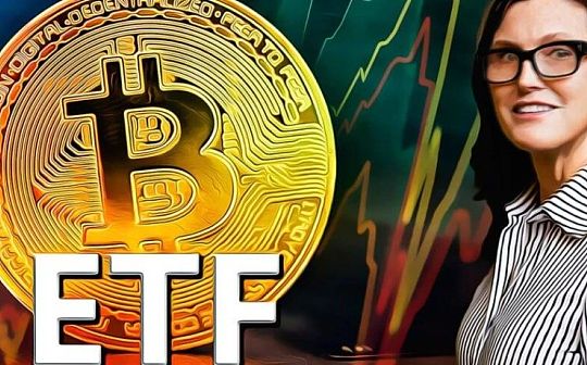 方舟投资CEO大胆预测：SEC或将颠覆惯例 同时批准多个BTC ETF