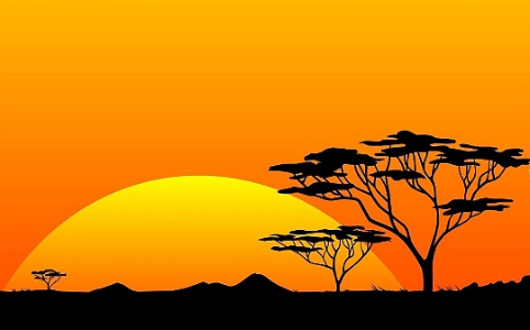 观点：商品代币化是非洲需要的经济援助