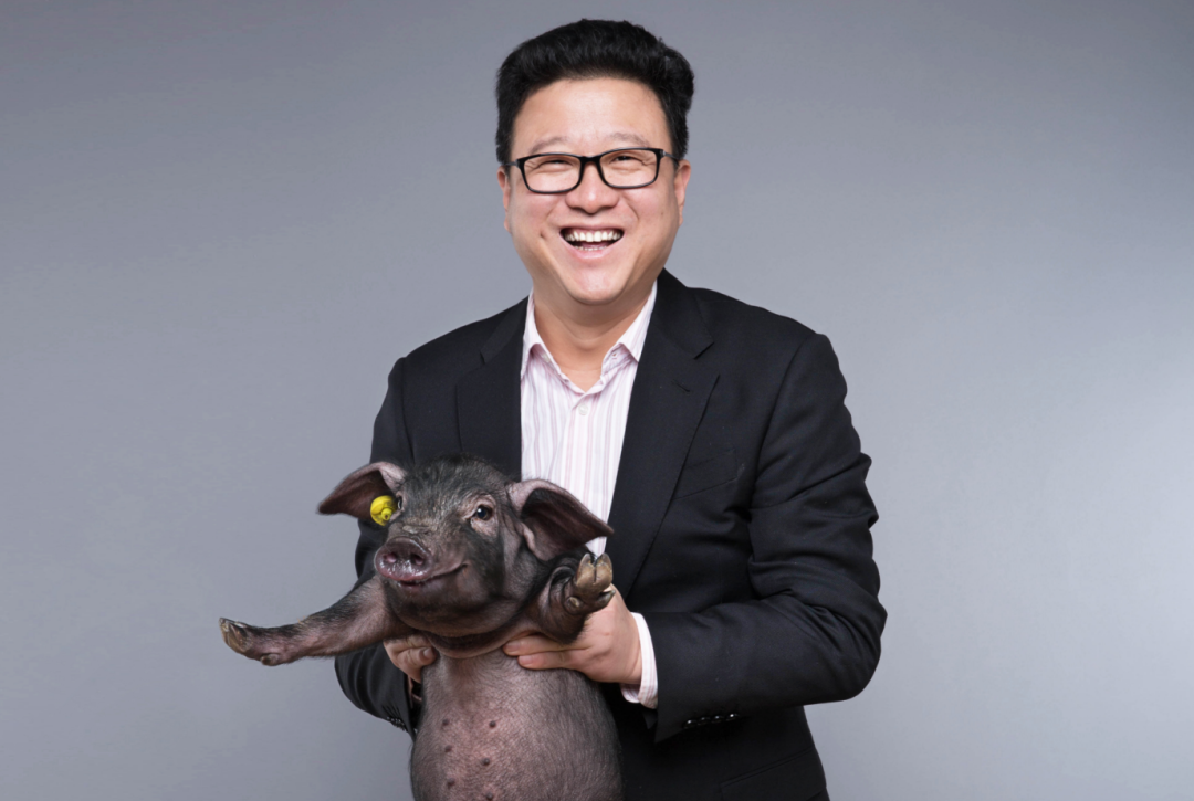 51岁的丁磊,靠大模型改命