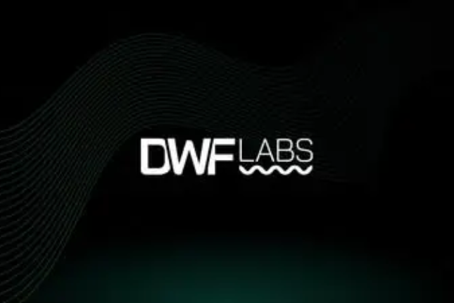 与GSR互怼再引热议，揭秘DWF Labs及联创鲜为人知的故事