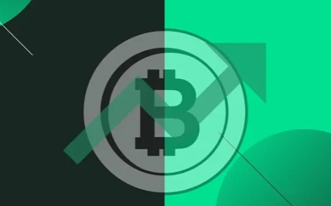 2024 年比特币价格预测：主要银行与对冲基金等的见解